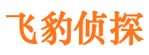 惠农市婚姻调查